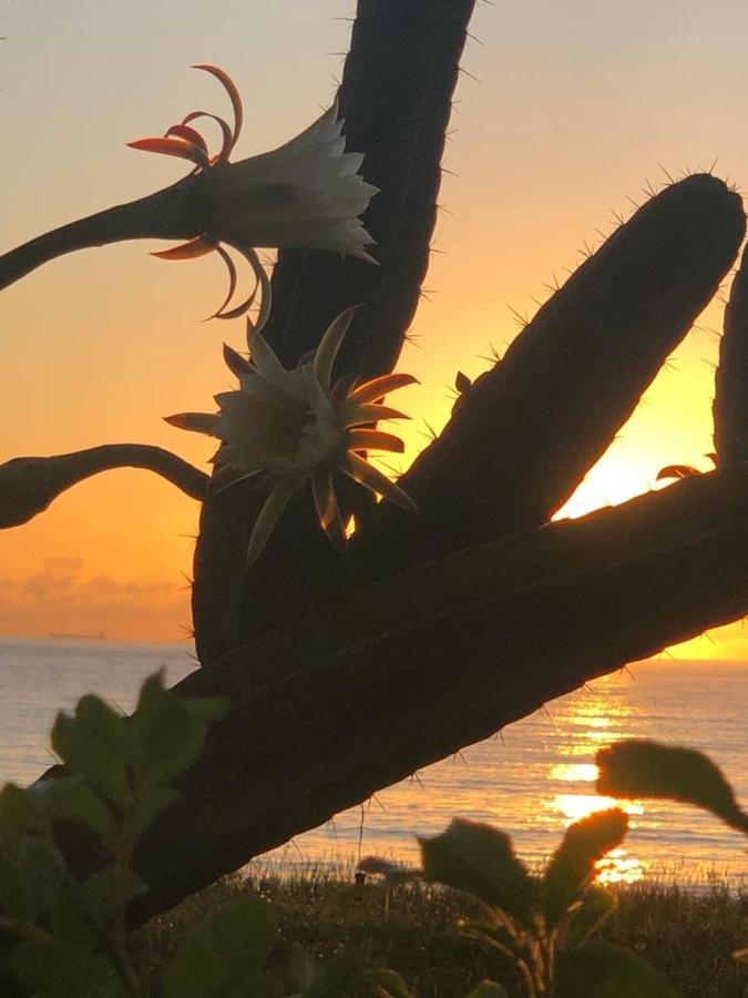 Flat Na Praia Da Costa ヴィラ・ヴェーリャ エクステリア 写真